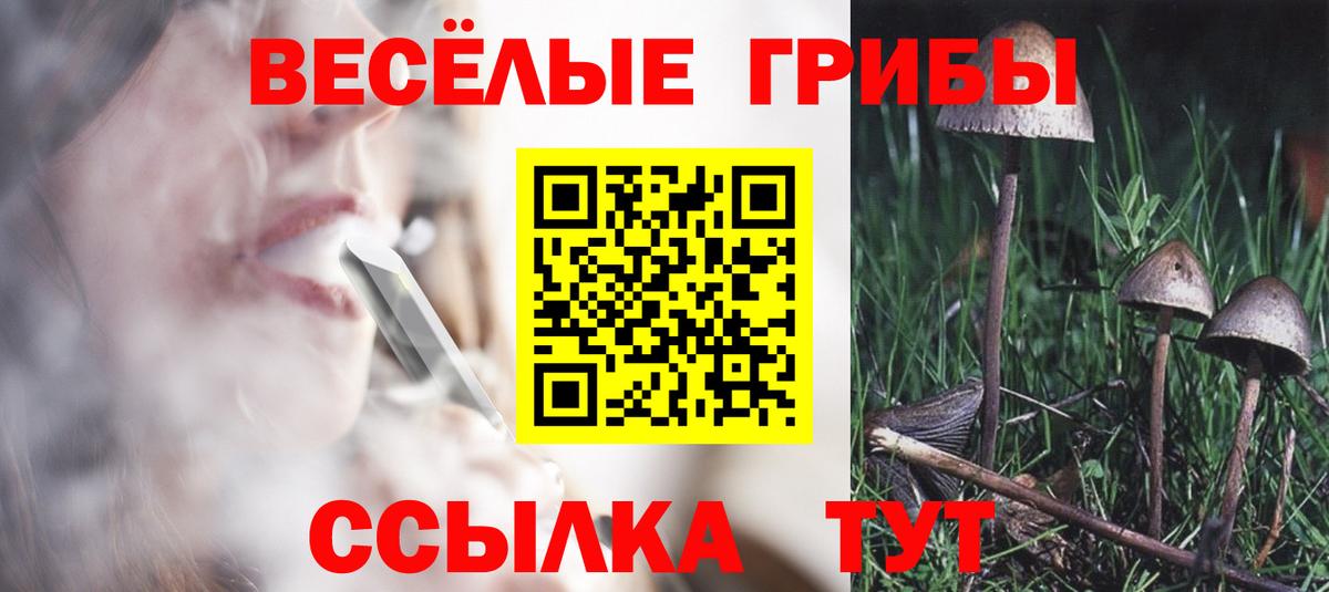 Псилоцибиновые грибы Psilocybe  Вход с VPN  Галлюциногенные грибы Cubensis  Фрязино 