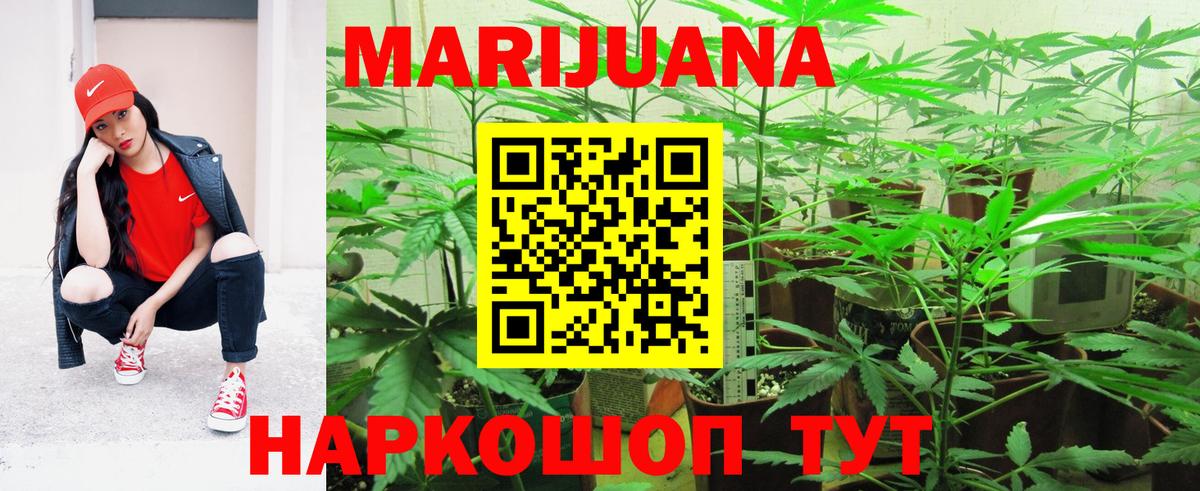 Конопля тримм  Шишки марихуана LSD WEED  МАРИХУАНА план  Марихуана сатива  Фрязино  Вход с VPN 